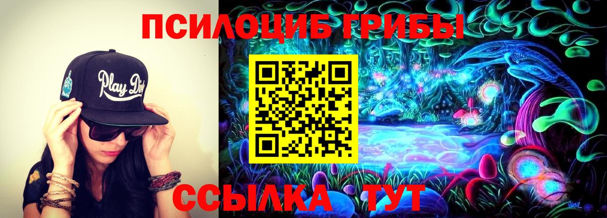 Псилоцибиновые грибы Magic Shrooms Вязники